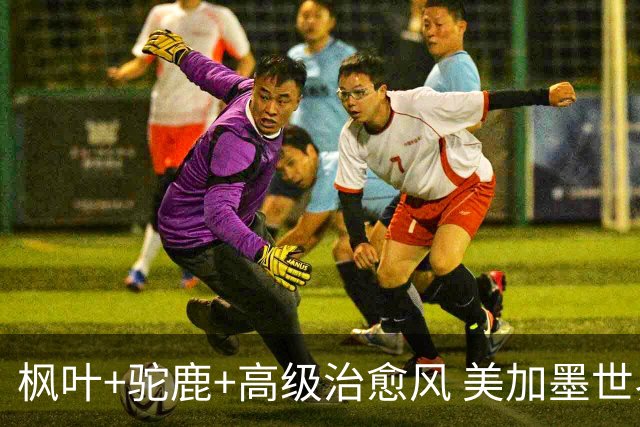 枫叶+驼鹿+高级治愈风 美加墨世界杯加拿大赛区开幕